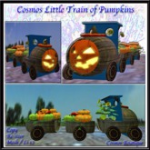 Cosmos Little Train of Pumpkins (BOX)