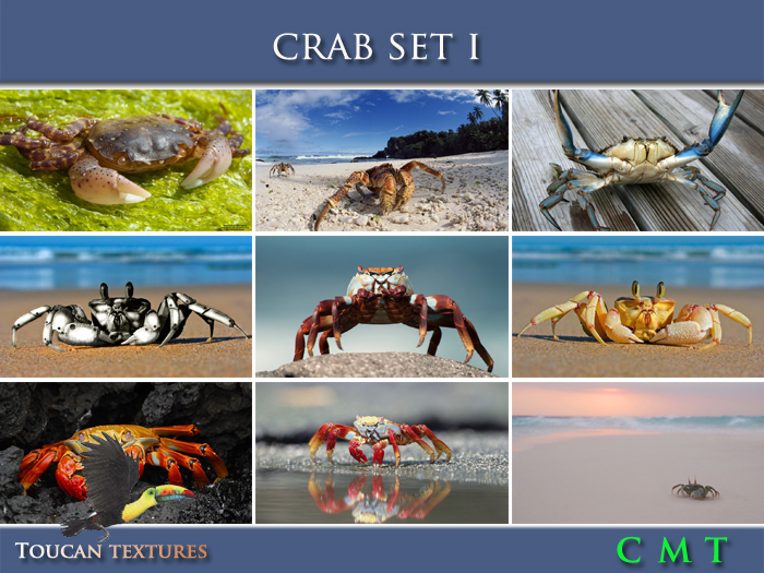 [Toucan Textures] Crab Set I