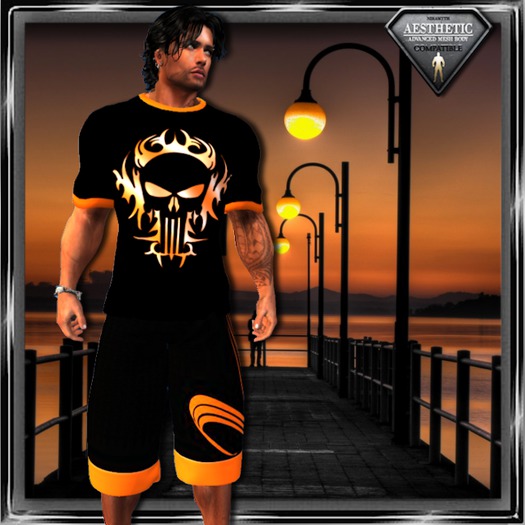 (DD) Aesthetic - Halloween Punisher