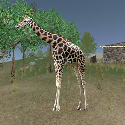 Giraffe Pair