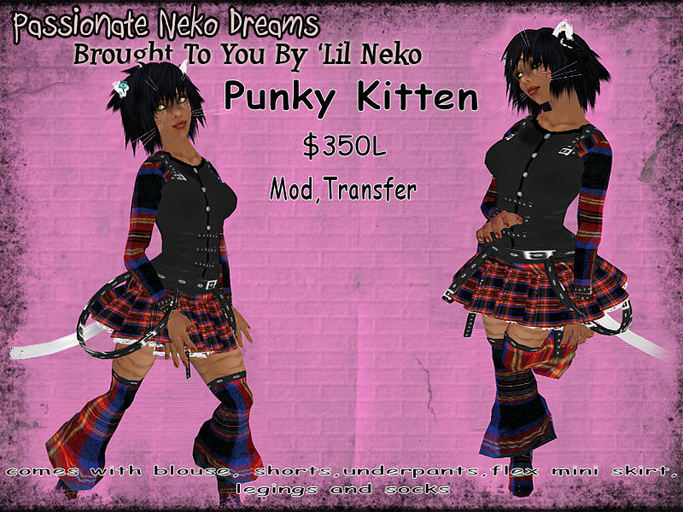 Punky Kitten