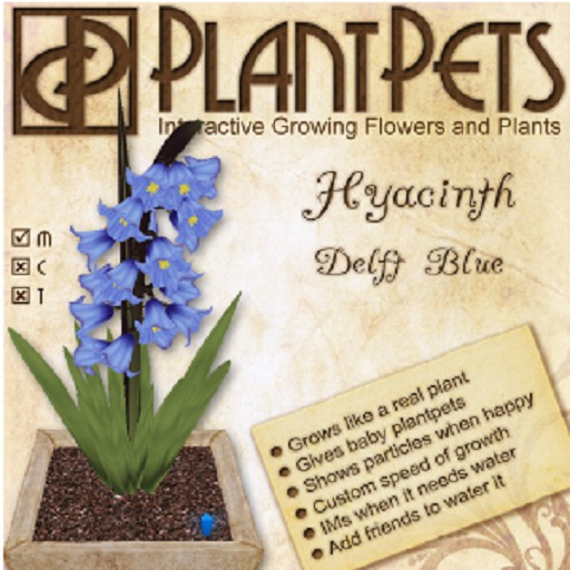 PlantPet Seed [Hyacinth *Delft Blue*]