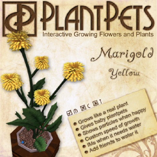 PlantPet Seed [Marigold *Yellow*]