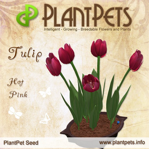 PlantPet Seed [Tulip *Hot Pink*]