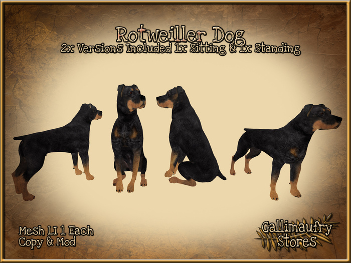 *GALLI* - MESH - Rottweiler x2 - One Dog Sitting & one Standing