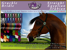 *E* Grackle Bridle [BOXED] RH Straight Egyptian Arabian