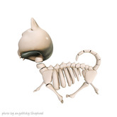 Foxes - Dead Cute - Skelecat - Light [box]