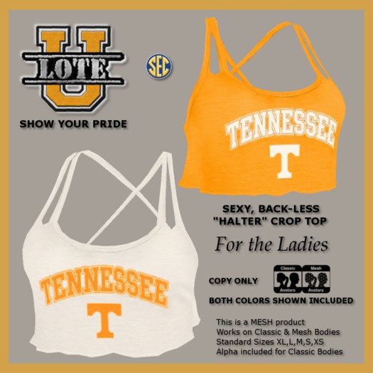 LOTE - CROP TOP - TENNESSEE