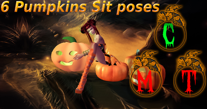Pumpkins Sit poses 