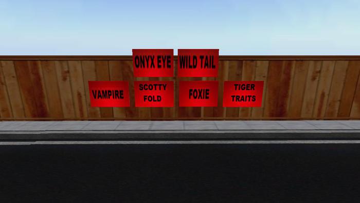 kitty trait signs