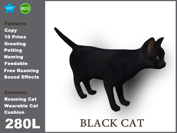 DEMO BlackCat