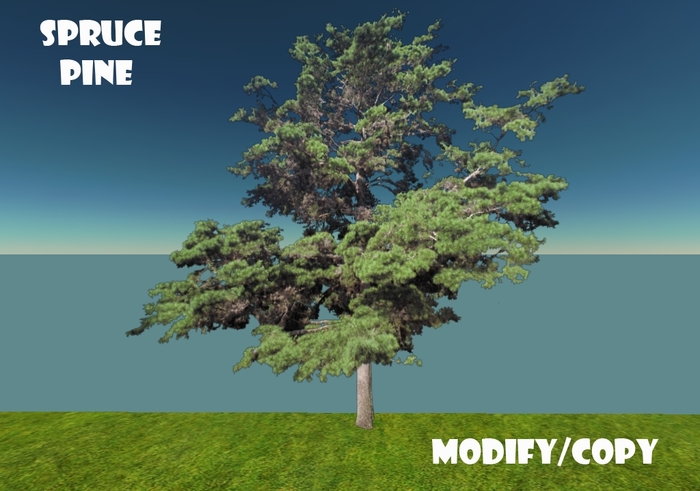 Spruce Pine Tree (Flexi)