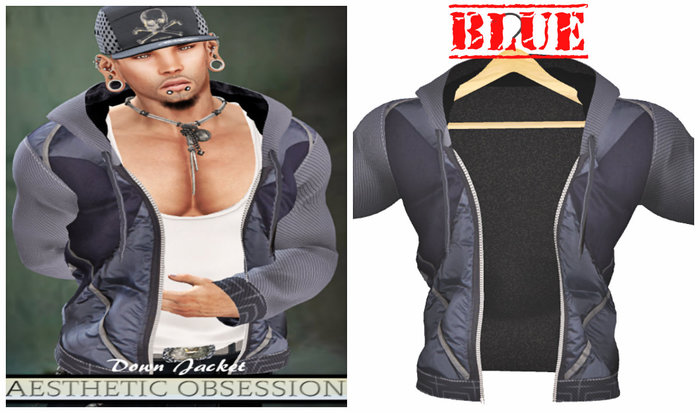 Aesthetic Down Jacket    Blue 