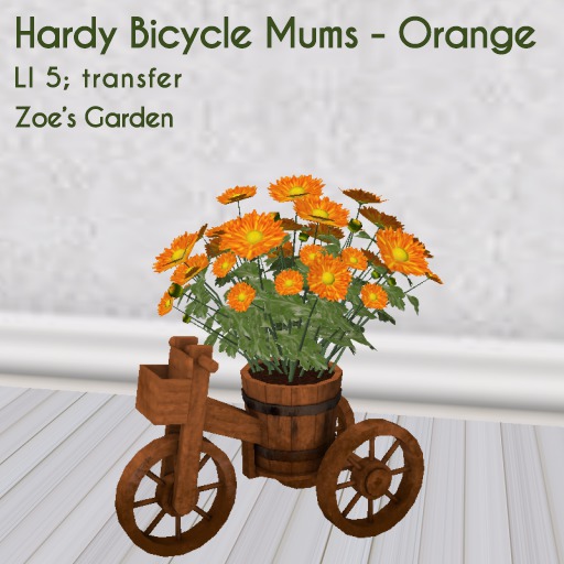 *ZG* Hardy Bicycle Mums - Orange