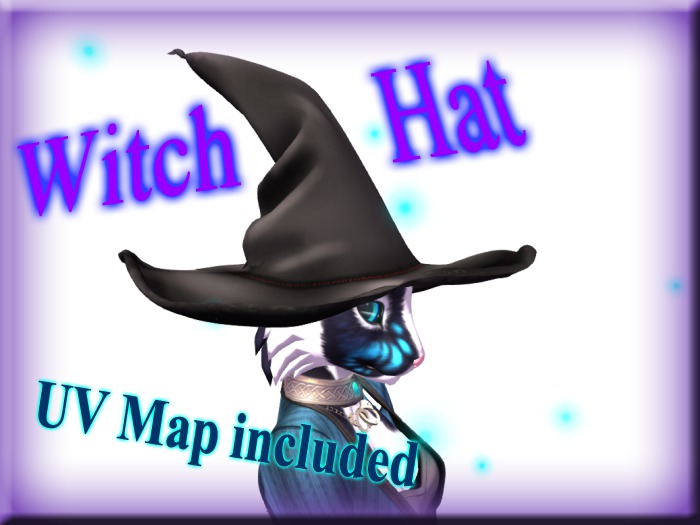 +Nelaware+ Witch Hat