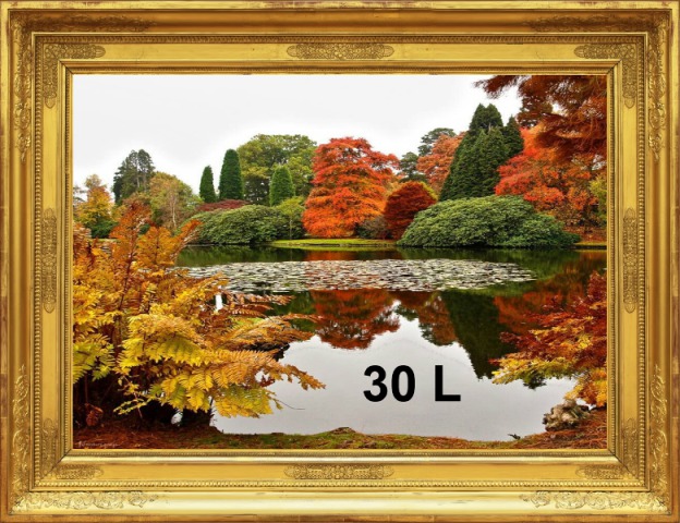 Lake in Autumn