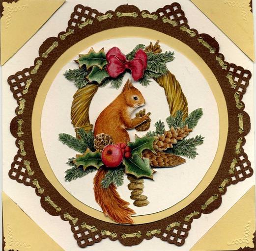 Squirrel card *boxed*