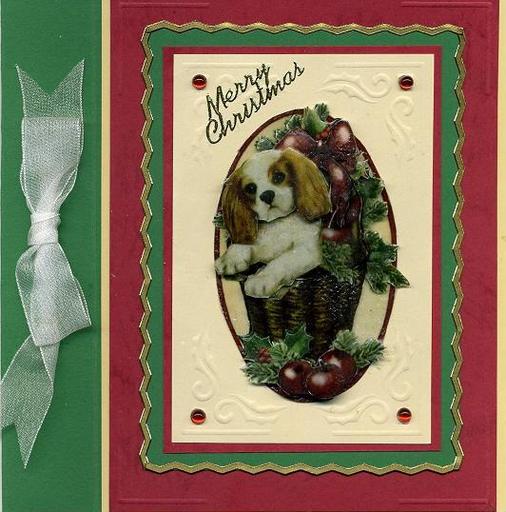 Dog xmas card *boxed*