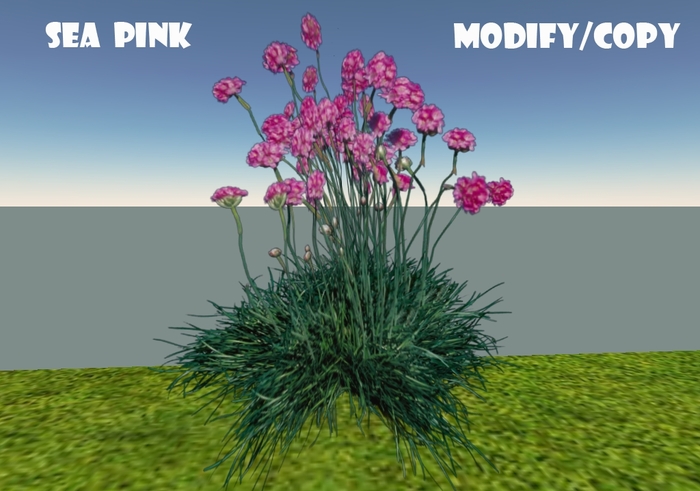 Sea Pink (Flexi)