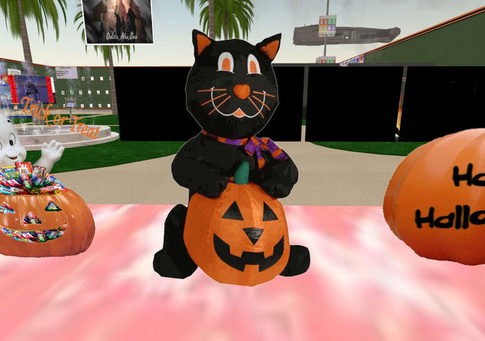 Black Cat w Pumpkin