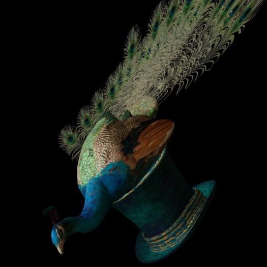 The Mad Hattery Peacock Top Hat  BOXED