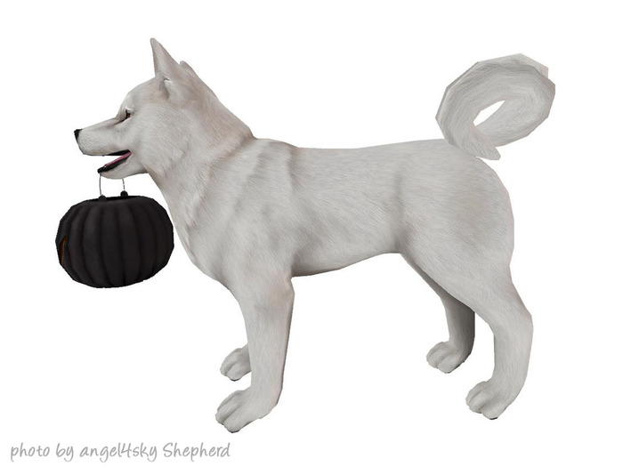 JIAN Hallow-Inu :: ToT Companion White (EP BOX) [Gacha]