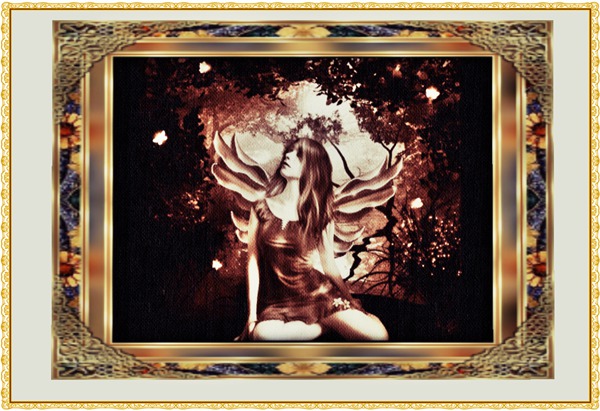 {ND Designs} - Shiny