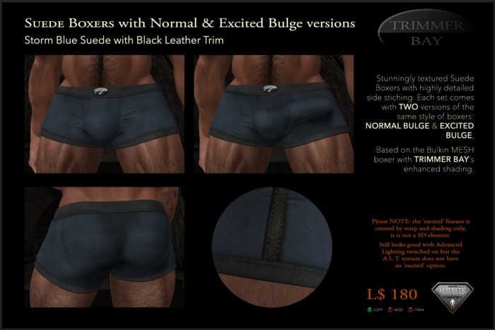 SUEDE BOXERS in Storm Blue suede with Black Leather Trim, includes NORMAL & EXCITED BULGE versions