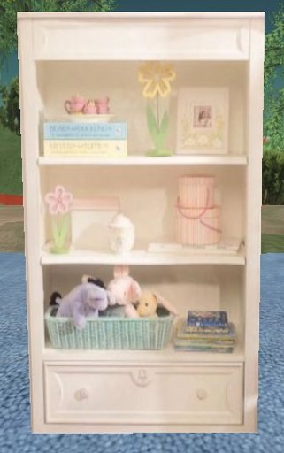 Girls Bookshelf