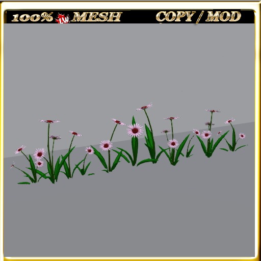 LW_Daisy For Paths Ways 2
