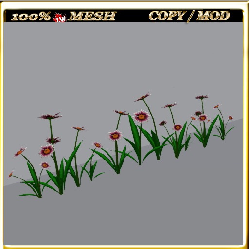 LW_Daisy For Paths Ways 3