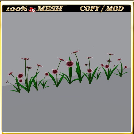 LW_Daisy For Paths Ways 4