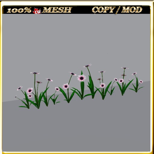 LW_Daisy For Paths Ways 5