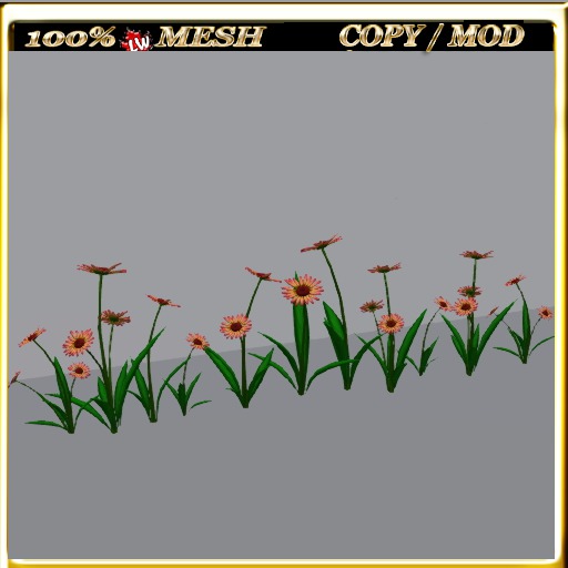 LW_Daisy For Paths Ways 8