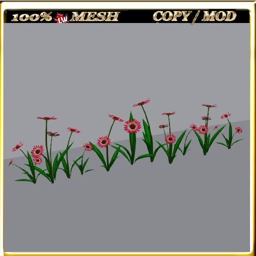 LW_Daisy For Paths Ways 9
