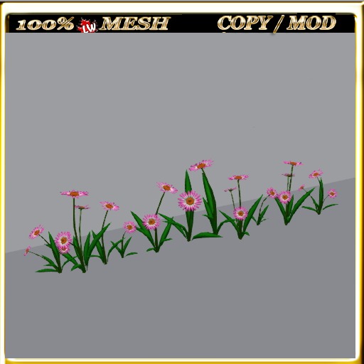 LW_Daisy For Paths Ways 11