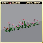 LW_Daisy For Paths Ways 11