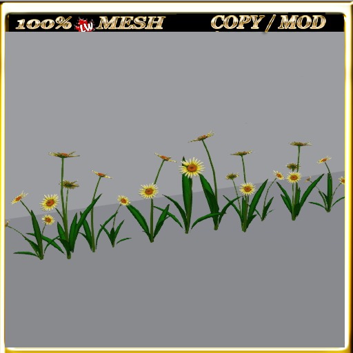 LW_Daisy For Paths Ways 13