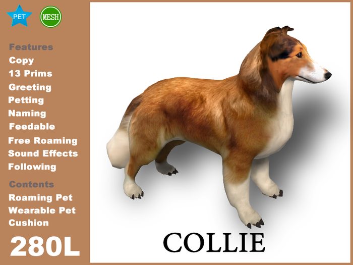 [TomatoPark] DEMO COLLIE