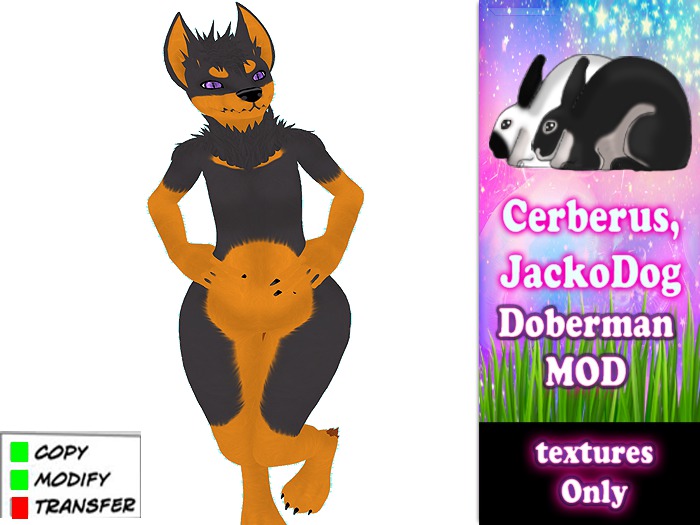 Jackodog -Doberman Pumkin