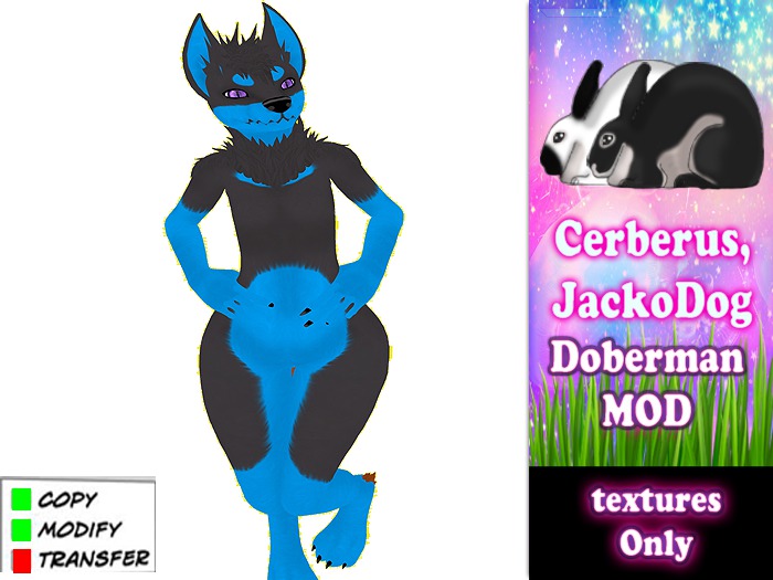 Jackodog -Doberman Blue