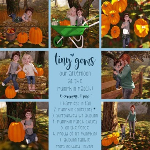 {tg.} - Proud of My Pumpkin! (boxed)