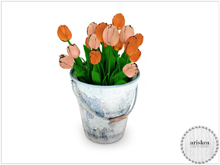 Ariskea[Jane] Tulips In bloom  [Calinours]