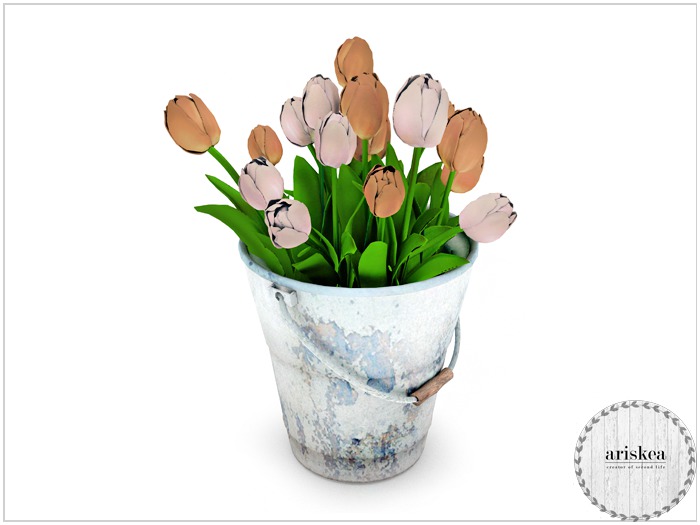 Ariskea[Jane] Tulips In bloom  [Soft Affair]