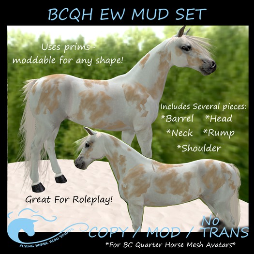 BC Quarter Horse Eww Mud