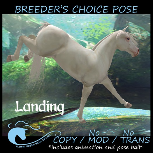 ~FHHS~  BC Pose- Landing