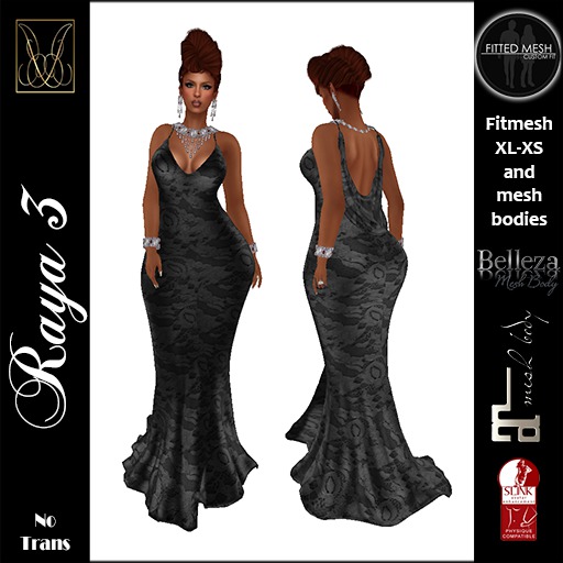 JCD Raya3 Black Lace Mesh Gown  (bagged)