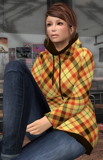 Fall Plaid Hoodie