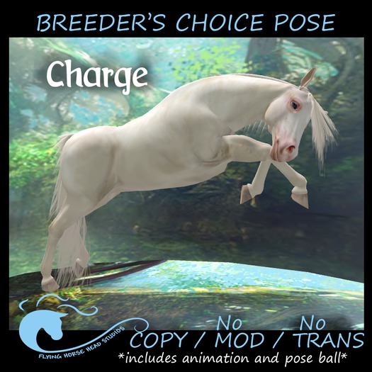 ~FHHS~  BC Pose- Charge