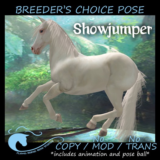 Breeder's Choice Photo Pose- Showjumper
